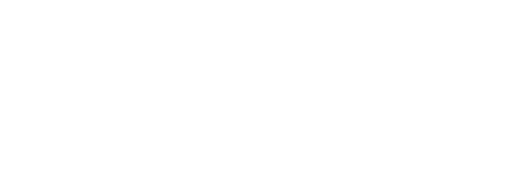 BOSTONtec  logo